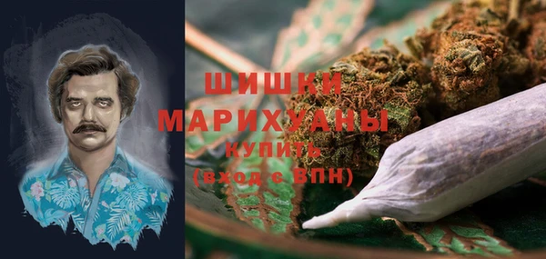 шишки Алексеевка