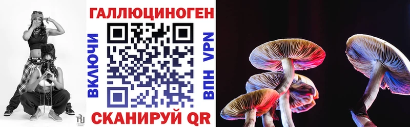 Псилоцибиновые грибы Cubensis  Узловая 