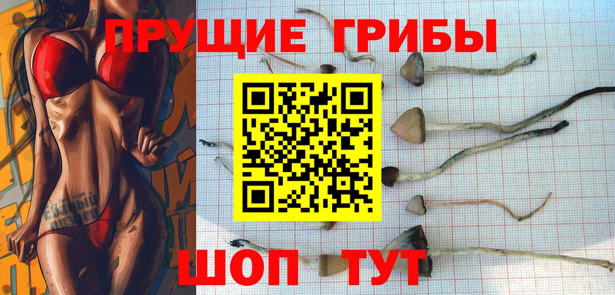 Узловая  купить наркотики сайты  Вход с VPN  Псилоцибиновые грибы Psilocybine cubensis 