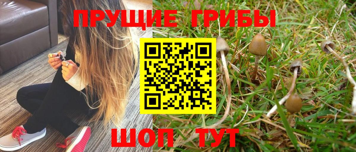 Псилоцибиновые грибы MAGIC MUSHROOMS Узловая