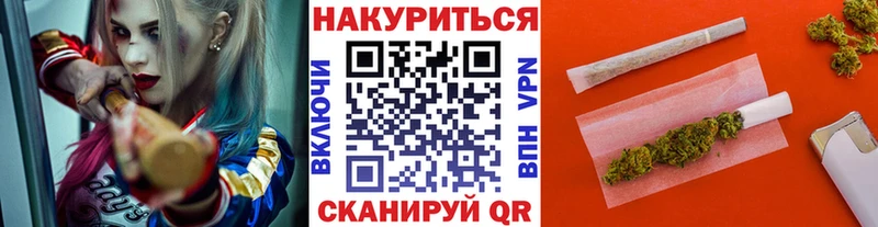 Канабис сатива  Узловая 